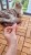 Kolorowe_moewkersy_13