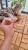 Kolorowe_moewkersy_7