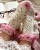 IMG_5558.jpeg